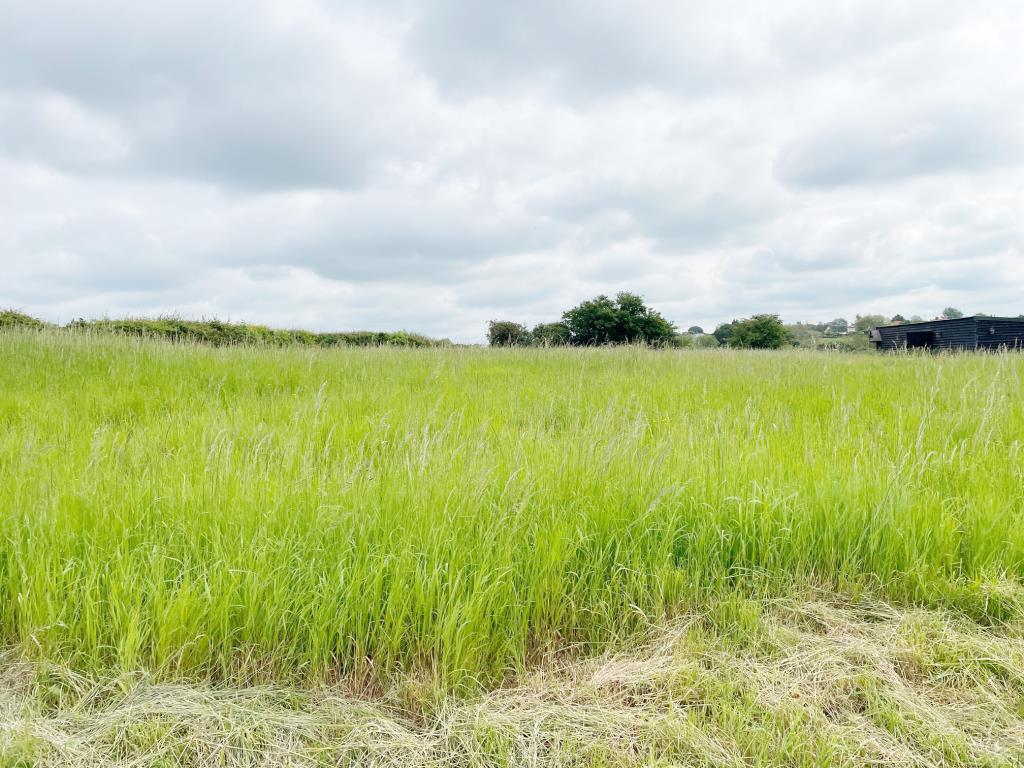 Lot: 73 - DEVELOPMENT OPPORTUNITY IN SUFFOLK VILLAGE LOCATION - view of the land looking back from the road with fields beyond